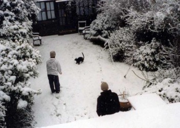 Josh and Jake playing with Mojo in the snow in the back garden in Walthamstow, 2000s